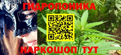 скорость Можга