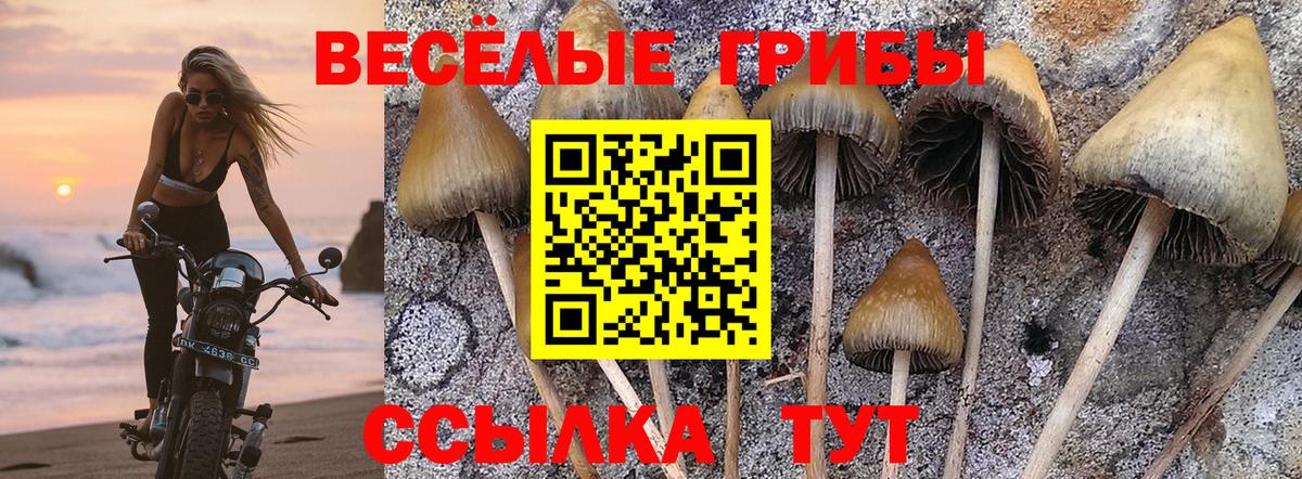 Галлюциногенные грибы MAGIC MUSHROOMS Джанкой
